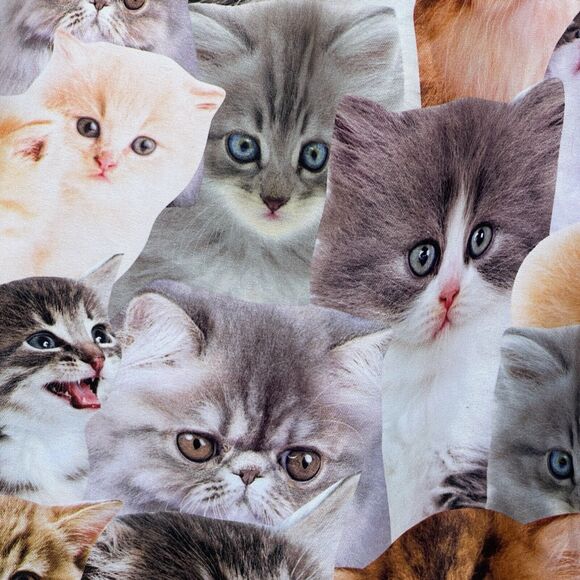 Bioworld Cat Print Swim Shorts Mens Medium Built in Brief AOP Lace Up Beach - Picture 5 of 12